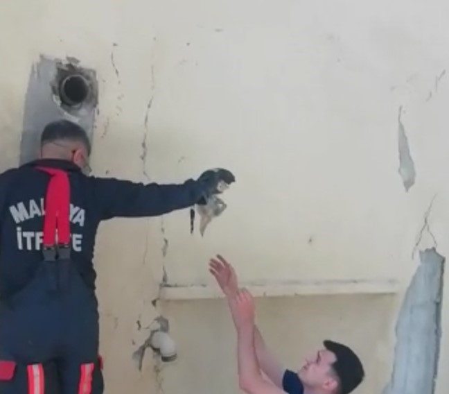 MALATYA’DA DEPREMLERDE HASAR ALAN BİR BİNANIN SU GİDERİNE SIKIŞAN YAVRU