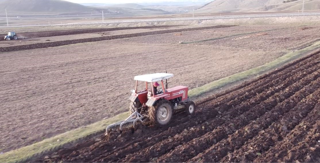 ARDAHAN'DA BUĞDAY VE ARPA EKİMİ DRONE İLE GÖRÜNTÜLENDİ. (OLGUN YILDIZ/ARDAHAN-İHA)