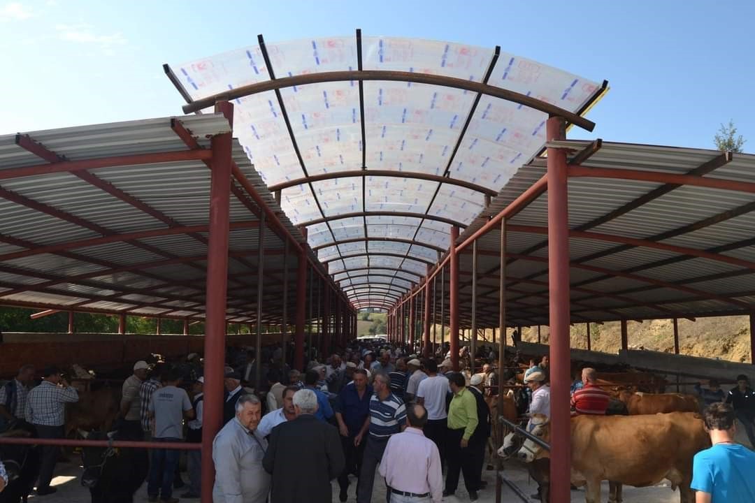 ASARCIK'A HAYVAN PAZARI