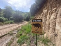 DİKKAT AYI ÇIKABİLİR