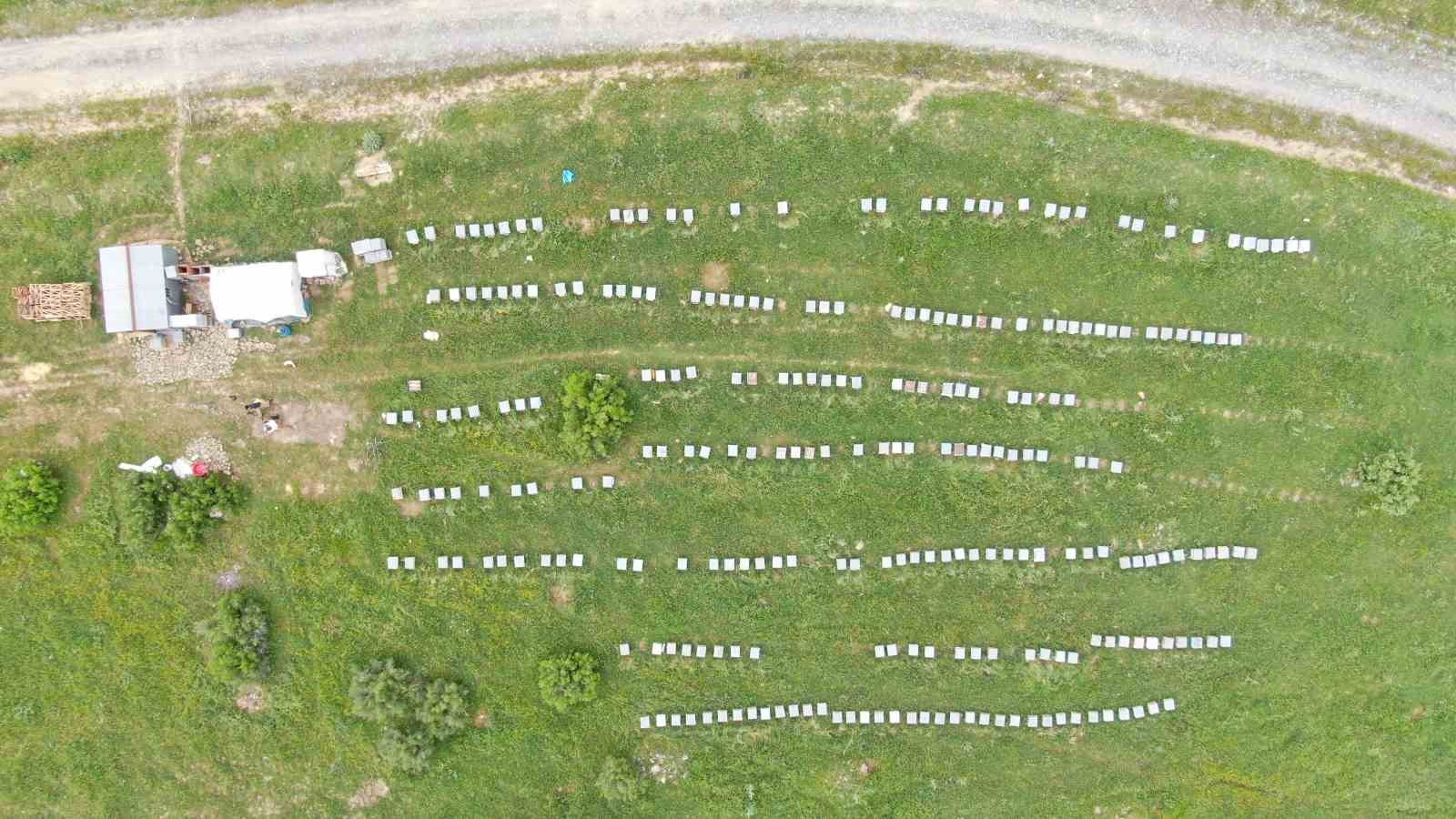 ERZURUM’UN HINIS İLÇESİNDEN DİYARBAKIR’IN KULP İLÇESİNDE GELEN YAKLAŞIK 40 YILLIK