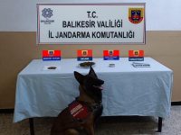 BALIKESİR'DE JANDARMADAN 48 ŞAHSA UYUŞTURUCU OPERASYONU