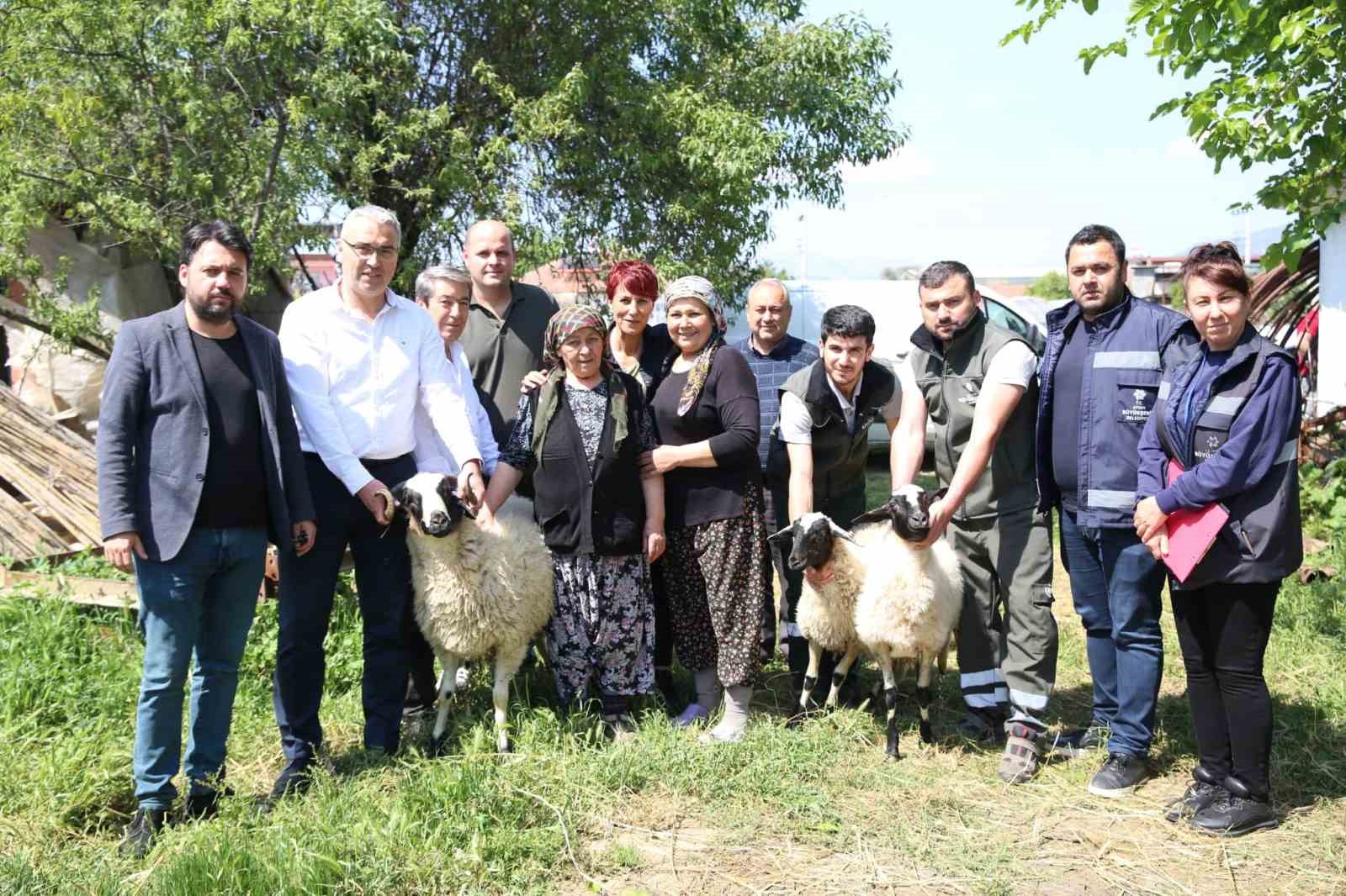 KÖŞK’ÜN BEYKÖY MAHALLESİ’NDE KOYUNLARI TELEF OLAN ÜRETİCİ KADININ İMDADINA AYDIN
