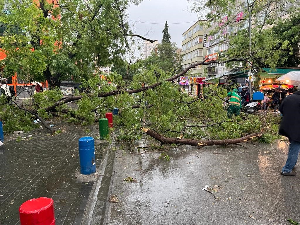 ANKARA'DA ŞİDDETLİ YAĞIŞ VE FIRTINA HAYATI OLUMSUZ ETKİLEDİ. FIRTINA AĞAÇLARI