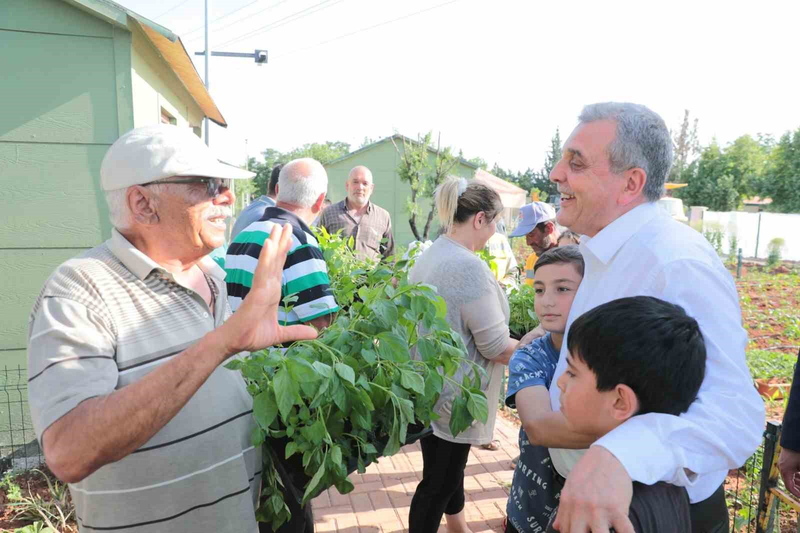 BEYAZGÜL HOBİ BAHÇESİ SAKİNLERİNE İSOT FİDESİ DAĞITTI