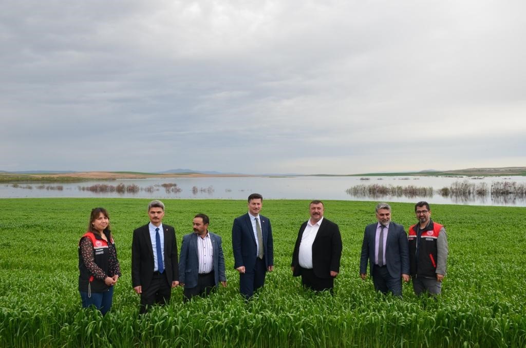 TARIM VE ORMAN BAKANLIĞI’NIN PROJELERİ İLE ÜLKEMİZDE BULUNAN BELEDİYELER ARASINDA