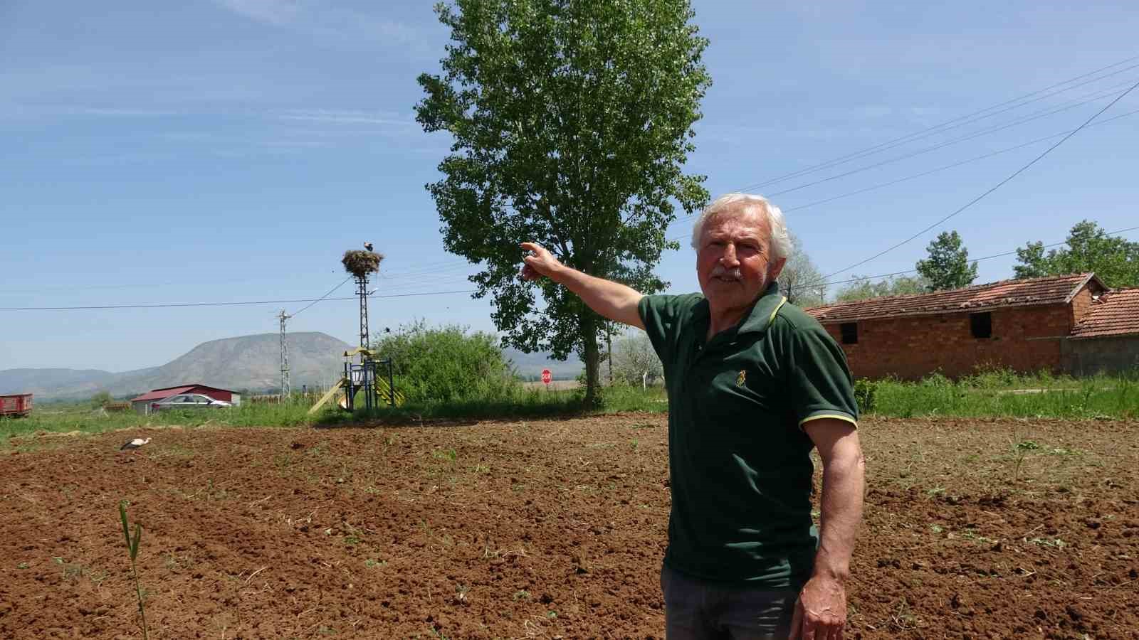 TOKAT'TA BULUNAN BEŞEVLER KÖYÜNÜN 40 YILLIK MİSAFİR LEYLEKLERİNİN İNSANLARA OLAN