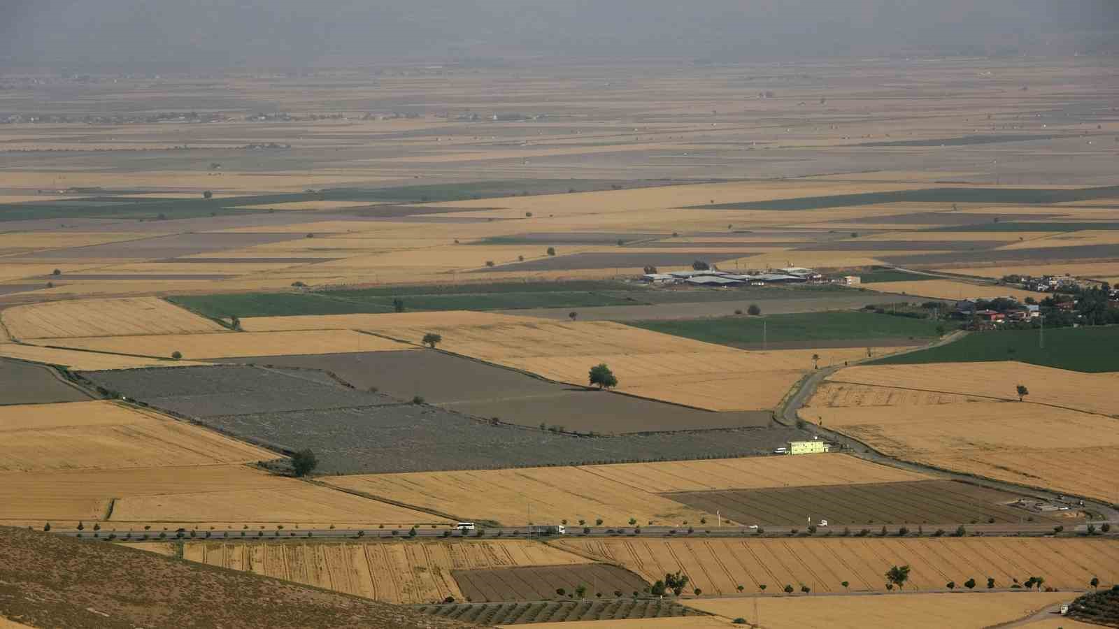 TÜRKİYE’NİN EN ÖNEMLİ BUĞDAY ÜRETİM MERKEZLERİNDEN HATAY AMİK OVASI’NDA ÜRETİCİLER,
