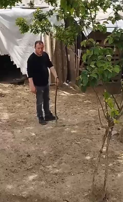 TÜRKİYE GENELİNDE HAVA SICAKLIĞININ ARTMASIYLA BİRLİKTE İLGİNÇ GÖRÜNTÜLER GELMEYE DEVAM