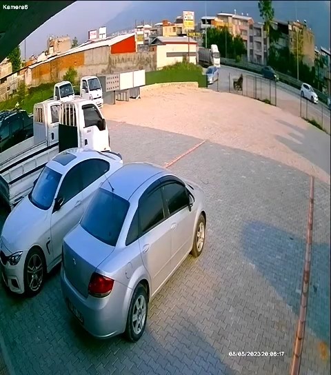 BURSA’DA CADDE ÜZERİNDE SON SÜRAT İLERLEYEN BAŞIBOŞ AT, BİR OTOPARKIN