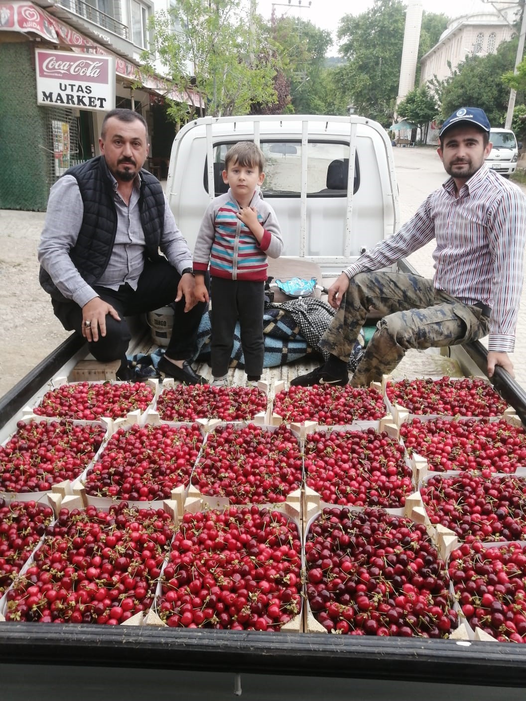 İZNİK'İN ORHANİYE VE ELBEYLİ KÖYLERİNDE YILIN İLK "KARA BODUR" CİNSİ