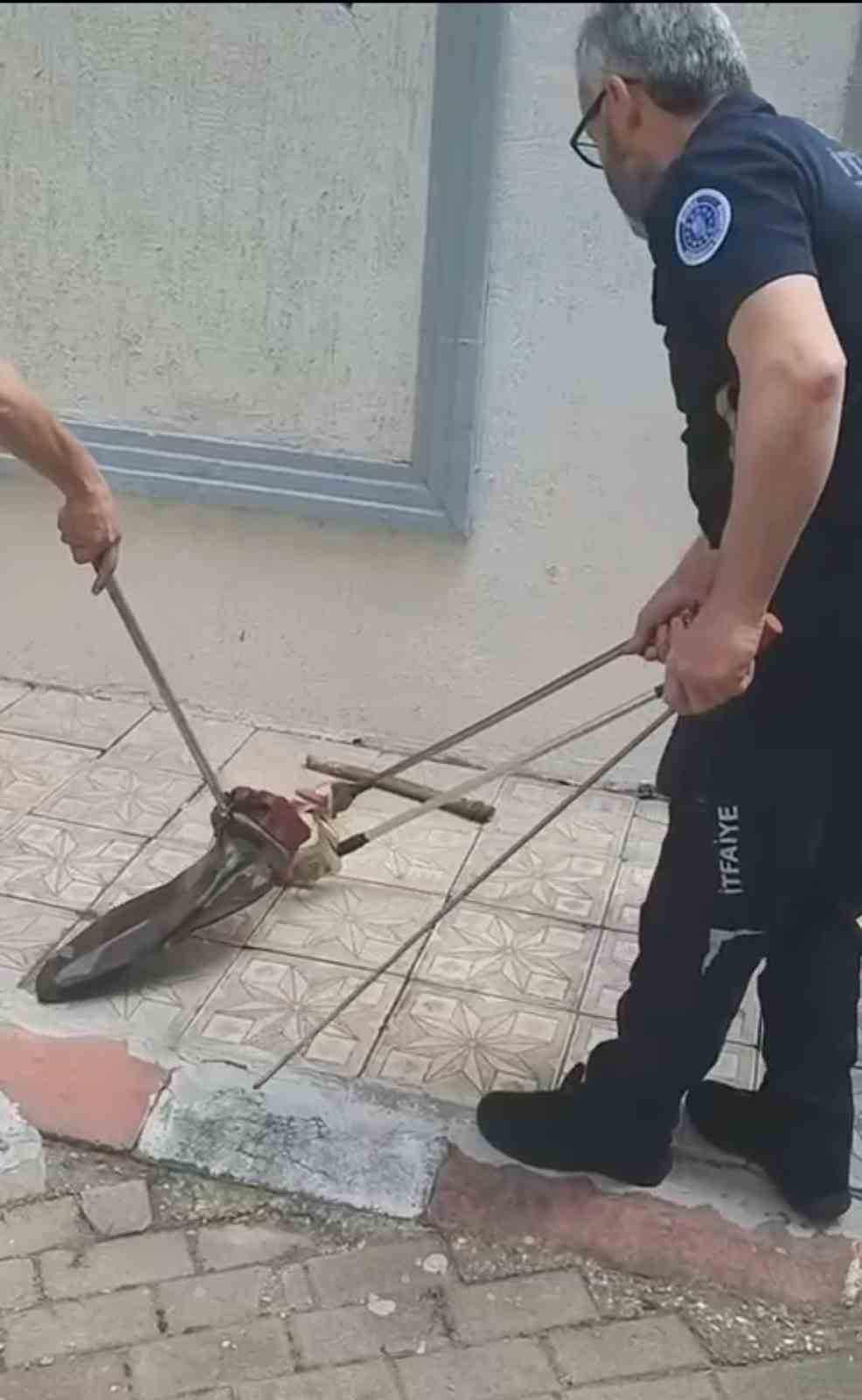 BURSA'NIN YILDIRIM İLÇESİNDEKİ BİR ARA SOKAKTA GÖRÜLEN VE BÜYÜK KORKUYA