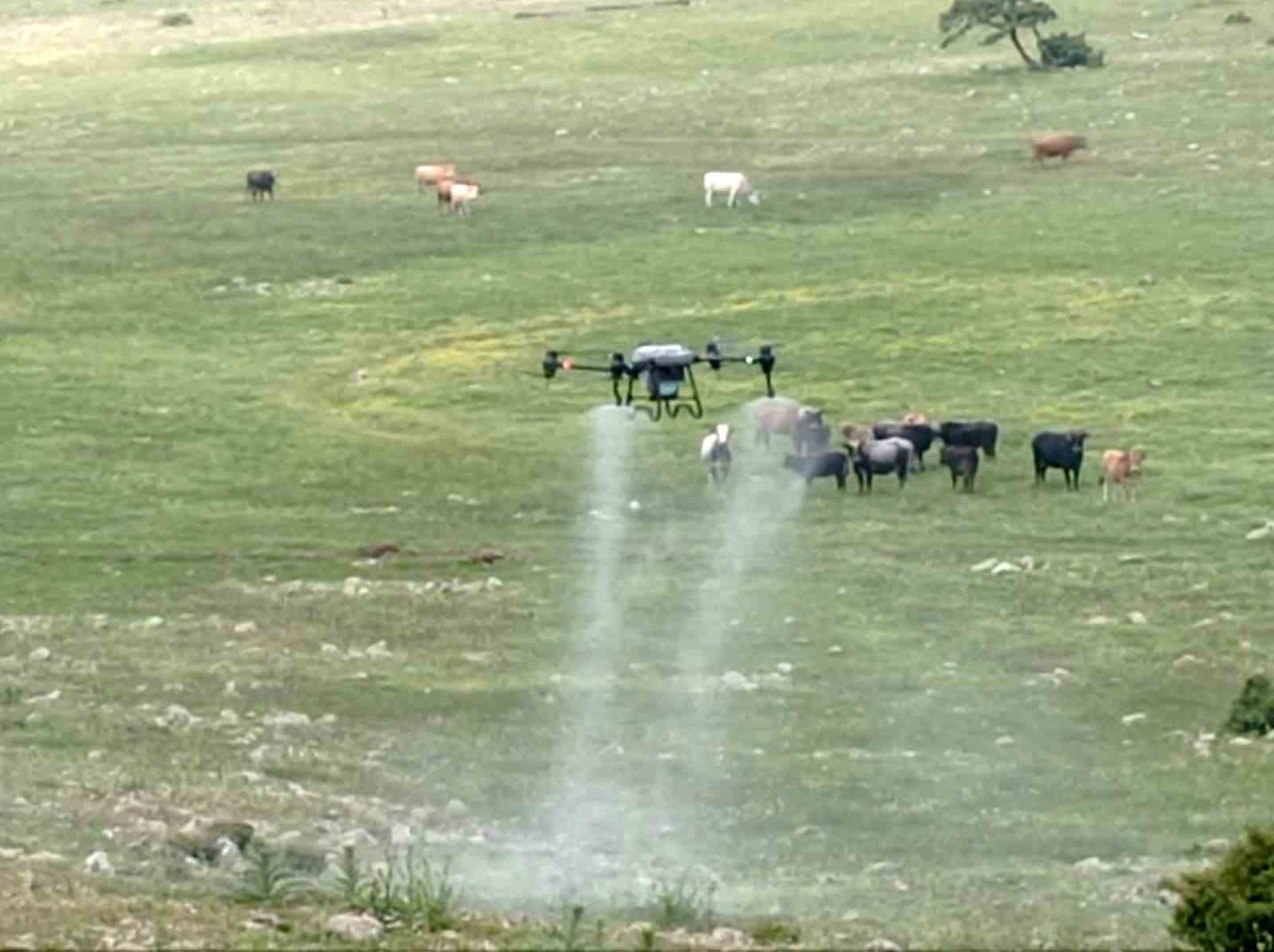 MANİSA BÜYÜKŞEHİR BELEDİYESİ SAĞLIK İŞLERİ DAİRESİ BAŞKANLIĞI, KIRKAĞAÇ İLÇESİNDE BİTKİSEL