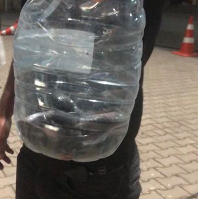 DEPREM BÖLGESİ ADIYAMAN’DA, ÇADIRLAR ARASINDA GÖRÜLEN YILAN PANİĞE NEDEN OLDU.