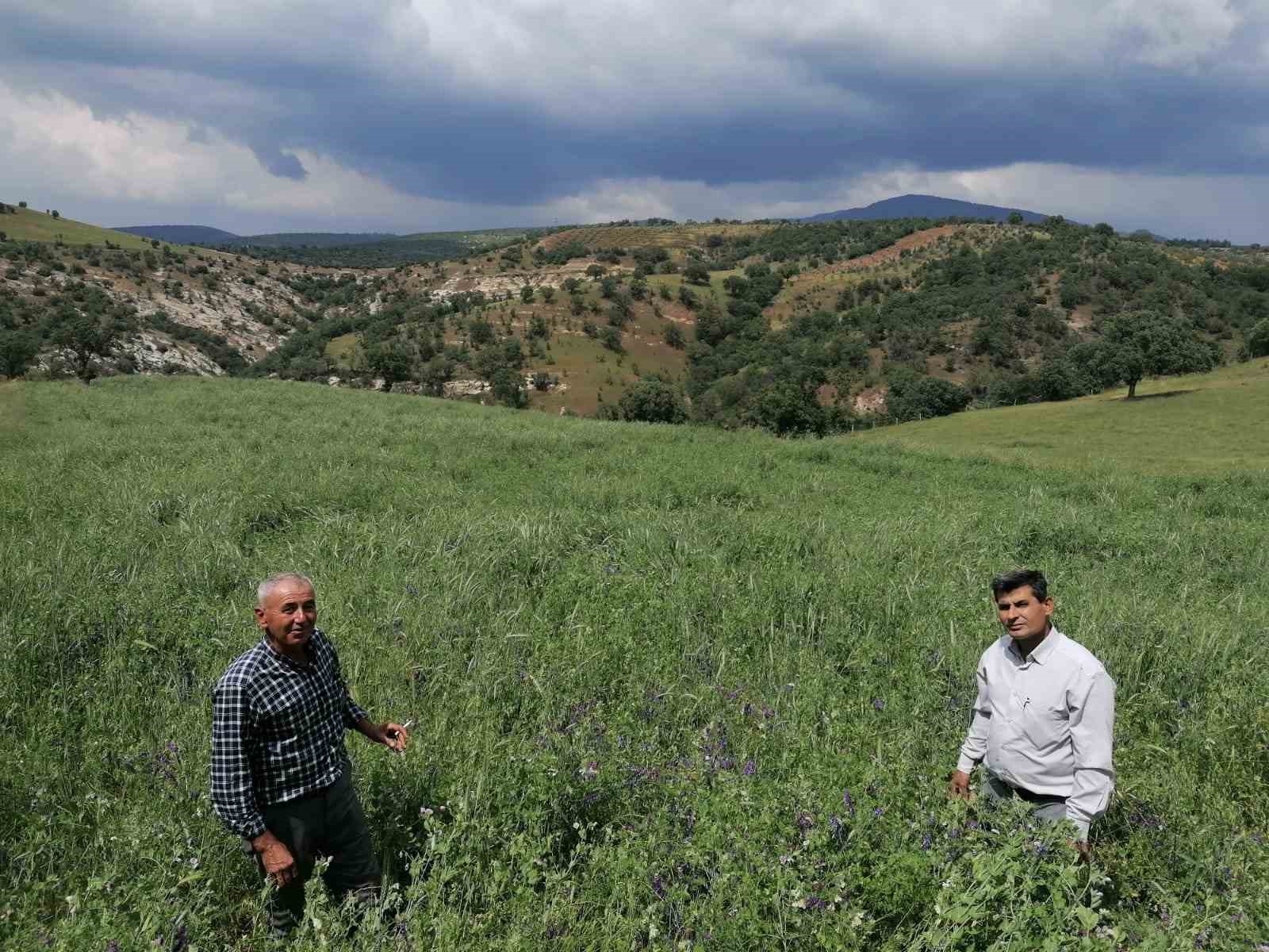 MANİSA BÜYÜKŞEHİR BELEDİYE BAŞKANI CENGİZ ERGÜN ÖNCÜLÜĞÜNDE KIRSAL HİZMETLER DAİRESİ