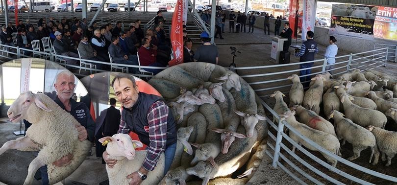 ÇANAKKALE İL TARIM VE ORMAN MÜDÜRLÜĞÜ TARAFINDAN HAZIRLANAN, TARIM VE