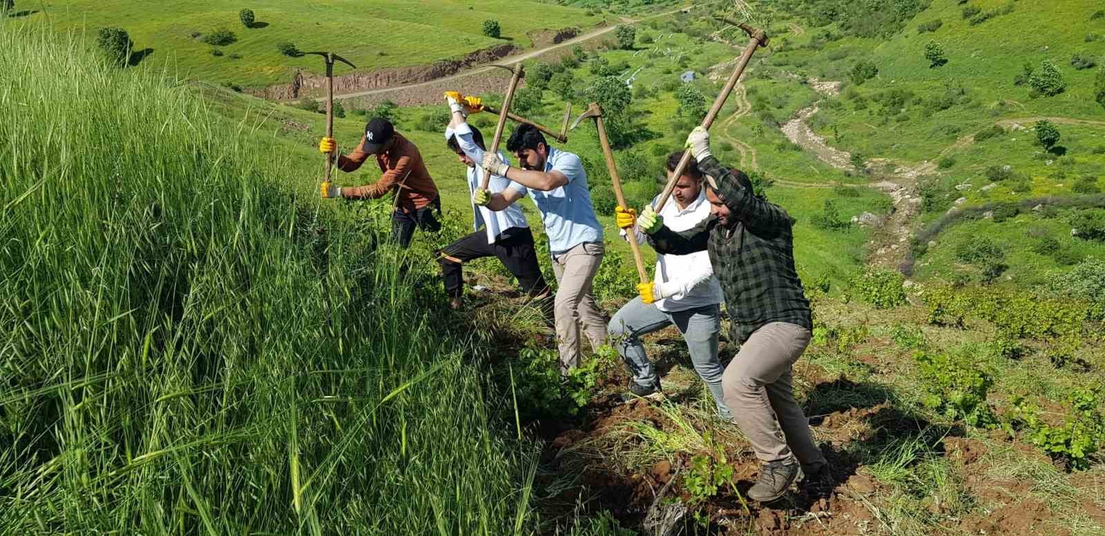 HAKKARİ'NİN DERECİK İLÇESİNDE BAHARIN GELMESİYLE BİRLİKTE ÇİFTÇİLERİN İMECE USULÜYLE BAĞ