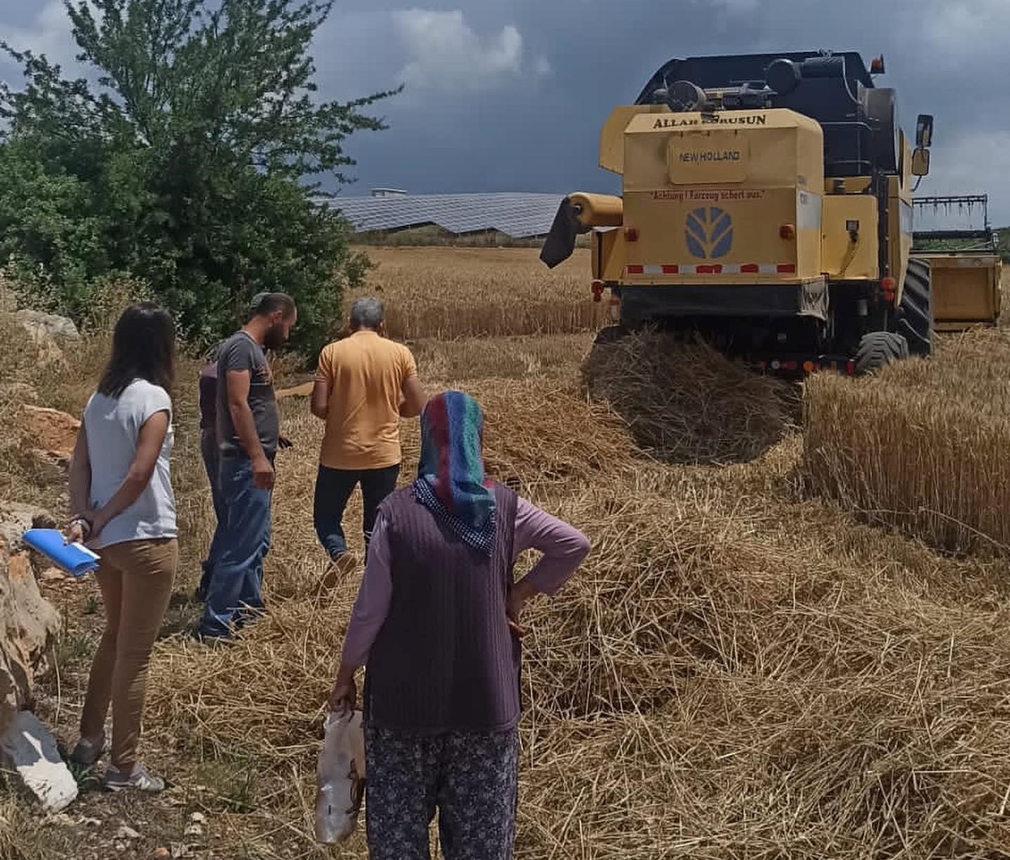 Didim’de hububat ekili araziler denetlendi