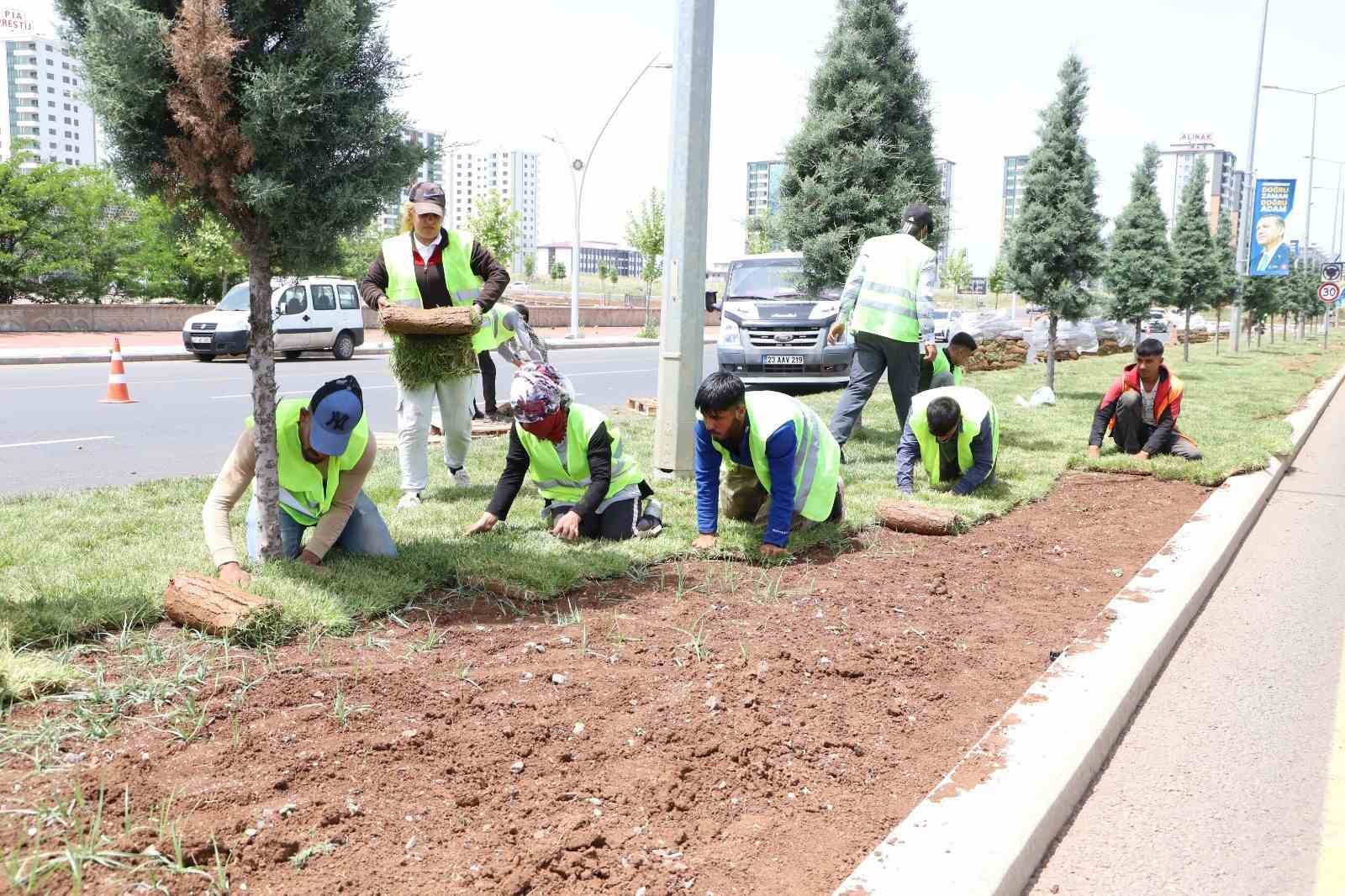 DİYARBAKIR BÜYÜKŞEHİR BELEDİYESİ, DAHA