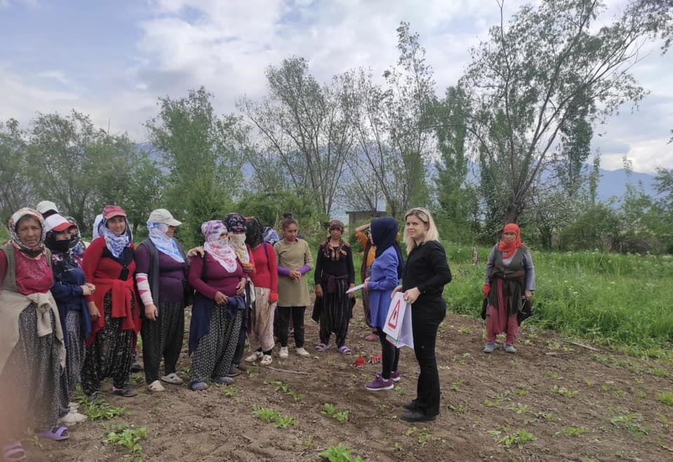 ERZİNCAN'DA SAĞLIK EKİPLERİNCE VATANDAŞLAR KIRIM KONGO KANAMALI ATEŞİ (KKKA) HASTALIĞINA