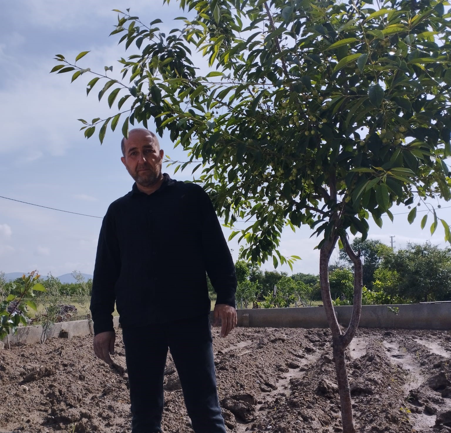 YAKLAŞIK 13 BİN DEKAR ALANDA KİRAZ ÜRETİMİNİN YAPILDIĞI DENİZLİ’NİN HONAZ