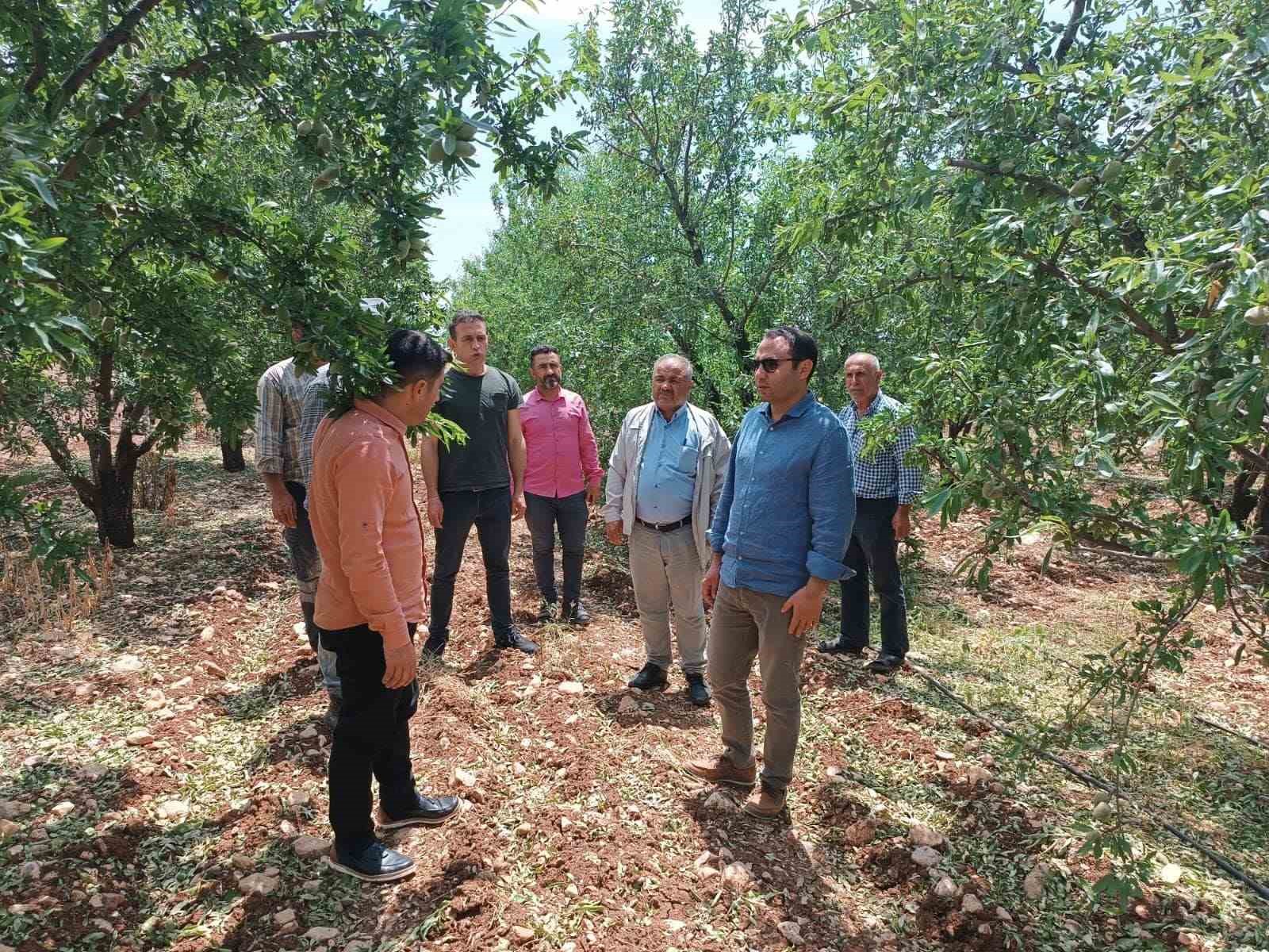 ADIYAMAN’IN BESNİ İLÇESİNDE DOLU YAĞIŞINDAN DOLAYI ZARAR GÖREN TARIM ALANLARI,
