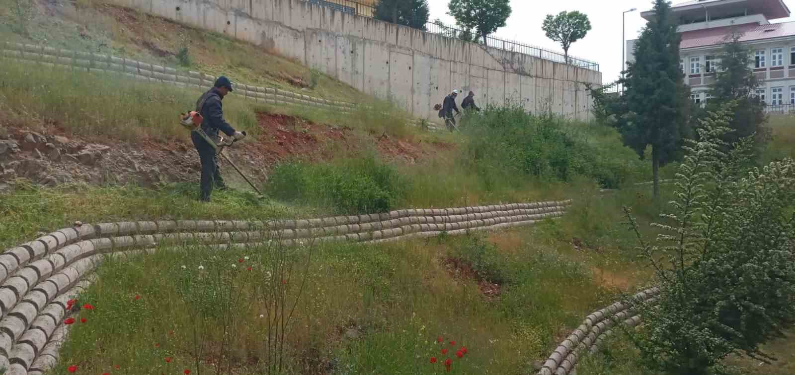DULKADİROĞLU İLÇESİNDE PARK VE BAHÇELERİN YANI SIRA BOŞ ALANLARDA ÇİM