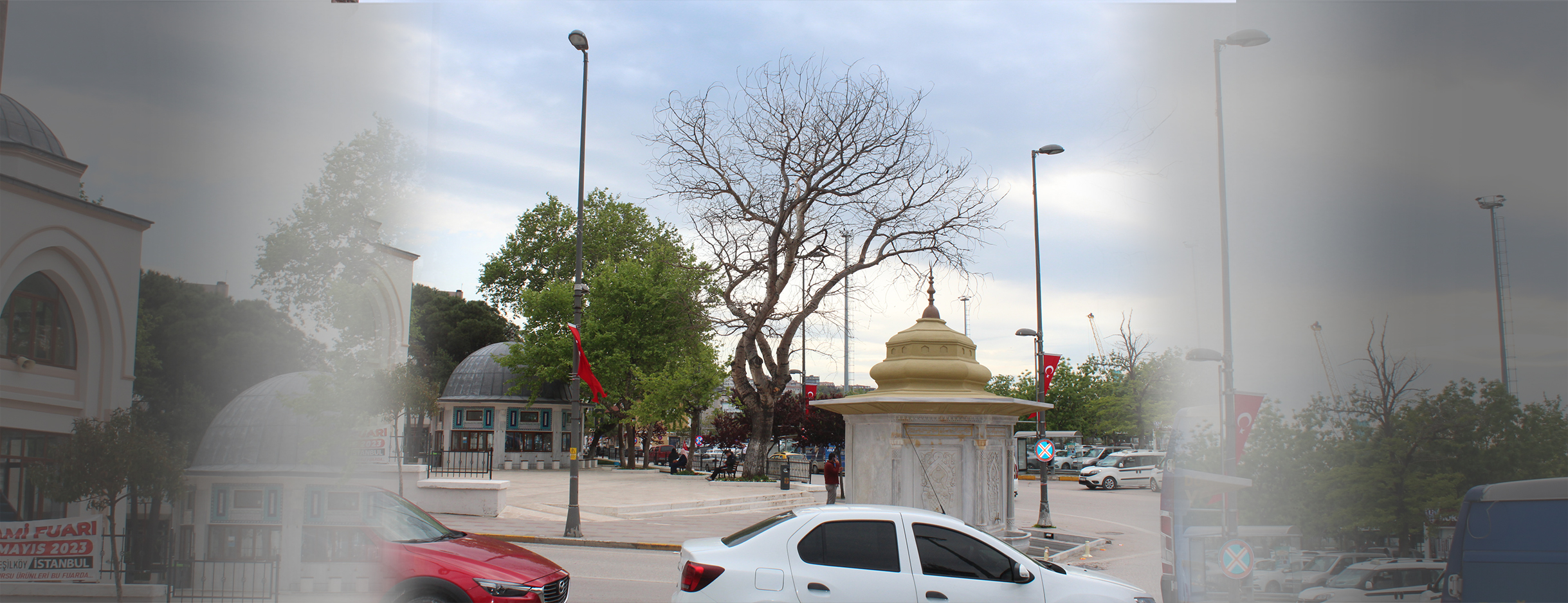Haydar Çavuş Camii bahçesinde 100 yılı geçkin ulu bir ağacın