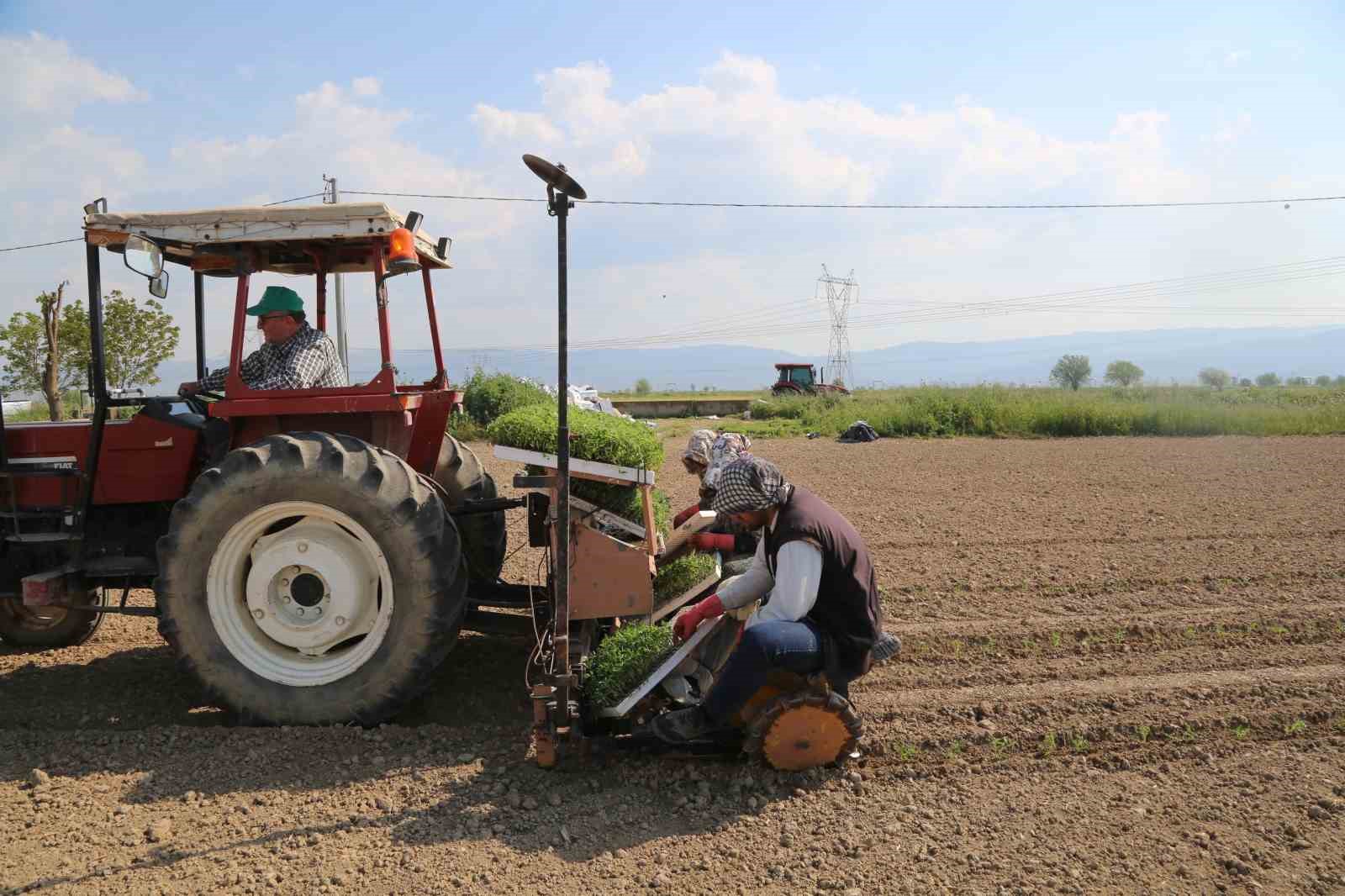 EFELER BELEDİYESİ İLÇE TARIMINI DESTEKLEMEYE YÖNELİK ÇALIŞMALARINI SÜRDÜRÜYOR. BU KAPSAMDA