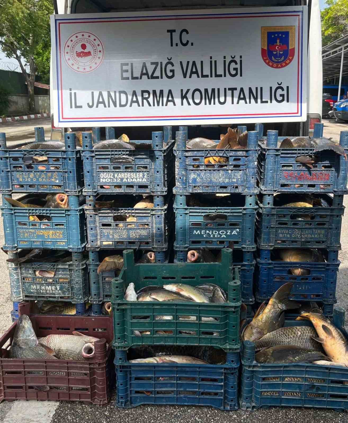 ELAZIĞ’DA SU ÜRÜNLERİ AVLAMA YASAĞININ OLDUĞU DÖNEMDE KAÇAK BALIK AVI