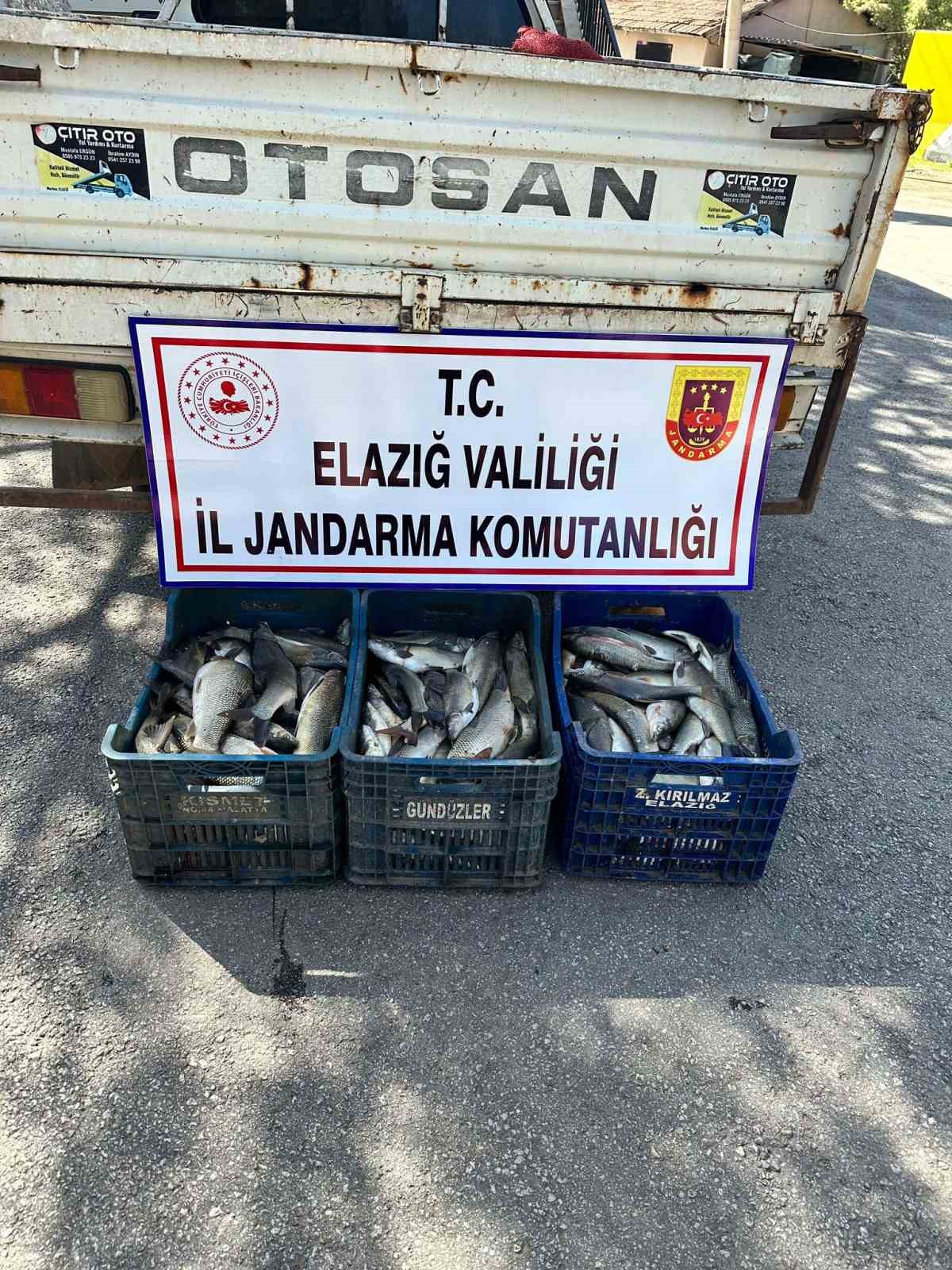 ELAZIĞ’DA SU ÜRÜNLERİ AVLAMA YASAĞININ OLDUĞU DÖNEMDE KAÇAK BALIK AVI