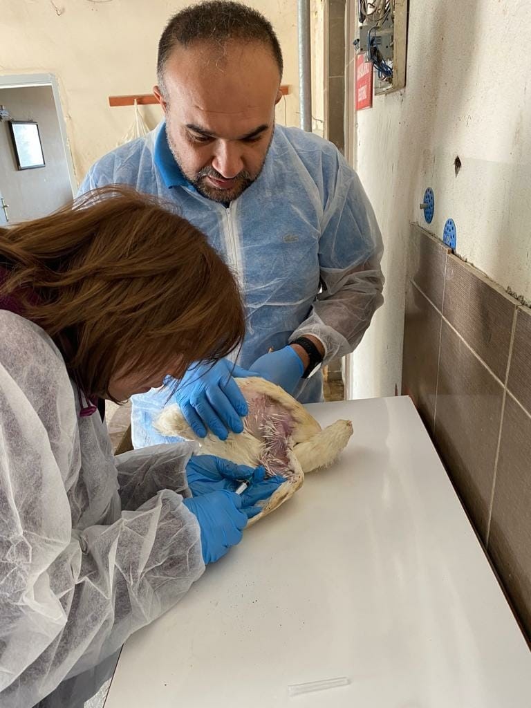 ELAZIĞ İL TARIM VE ORMAN MÜDÜRLÜĞÜ EKİPLERİ ELAZIĞ’DA FAALİYET GÖSTEREN