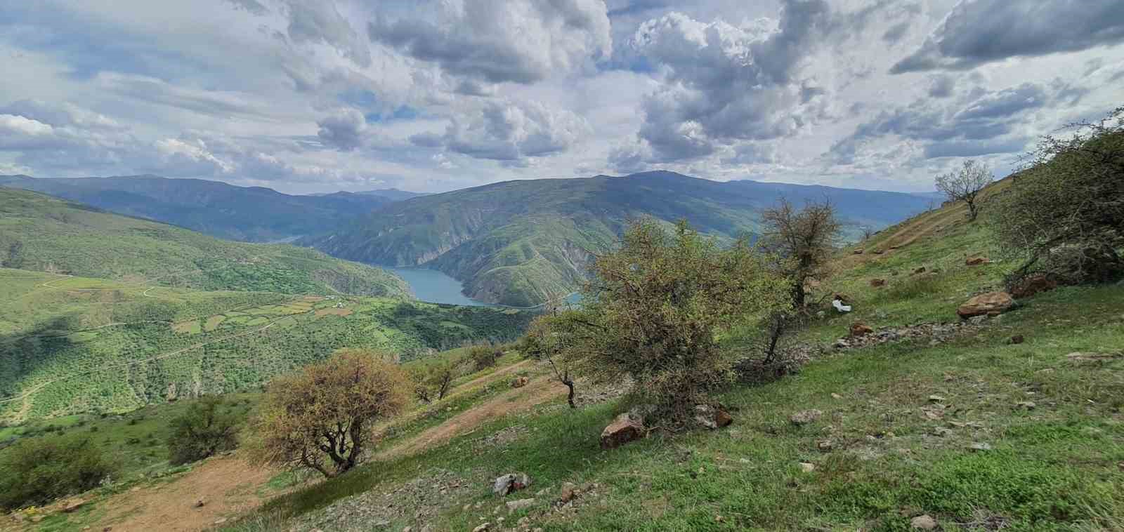 ELAZIĞ ORMAN BÖLGE MÜDÜRLÜĞÜ TARAFINDAN TOPRAK İŞLEME ÇALIŞMALARI BAŞLADI.