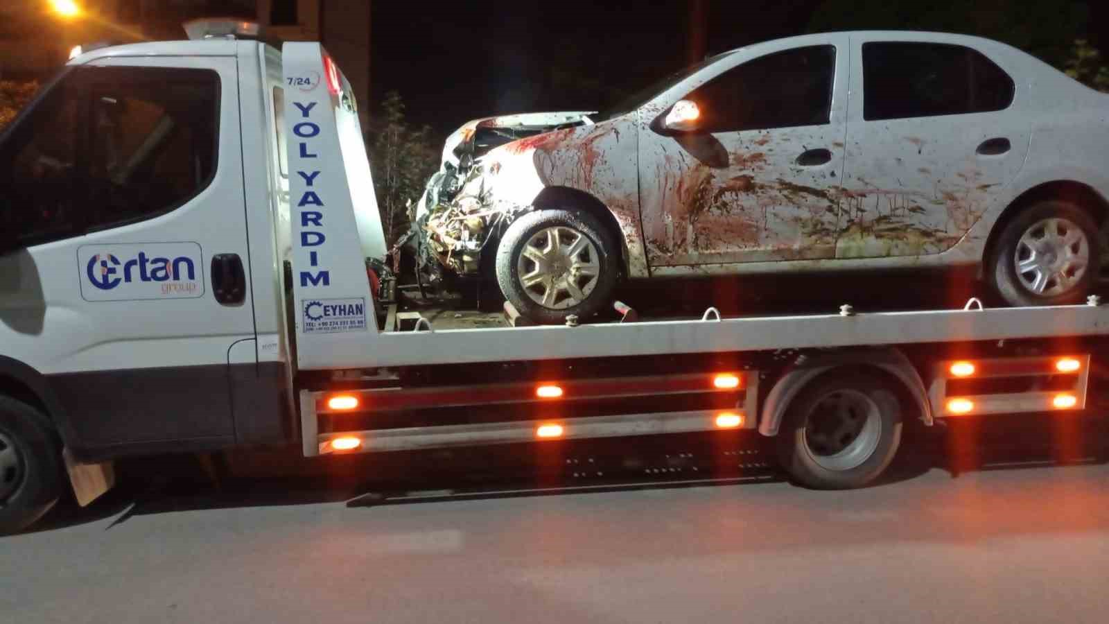 ELAZIĞ’DA OTOMOBİLİN KOYUN SÜRÜSÜNE ÇARPMASI SONUCU 25 KOYUN TELEF OLURKEN