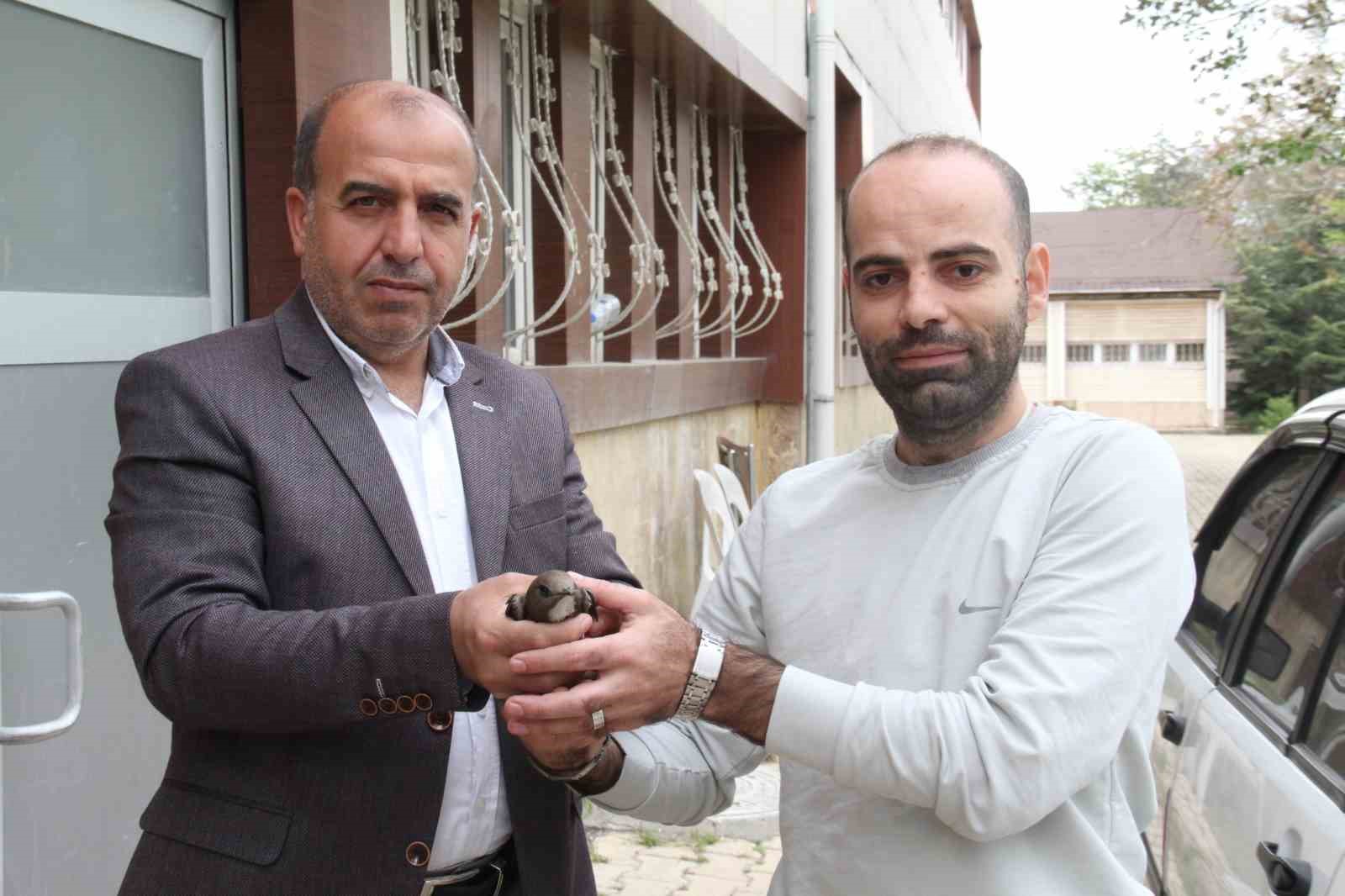 ELAZIĞ'DA BİR VATANDAŞ TARAFINDAN BULUNAN EBABİL KUŞU KORUMA ALTINA ALINDI