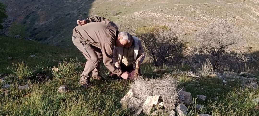 ELAZIĞ'DA YASA DIŞI AVCILIK YAPAN 1 KİŞİYE İDARİ İŞLEM UYGULANDI