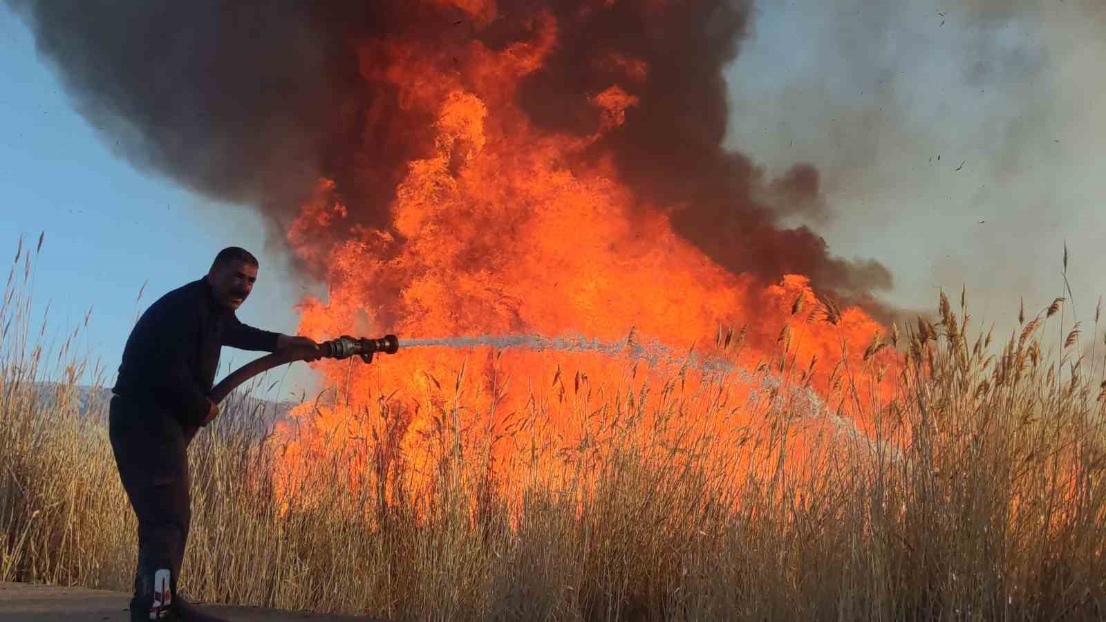 VAN'IN İPEKYOLU İLÇESİ SINIRLARI İÇERİNDE BULUNAN YAKLAŞIK 250 KUŞ TÜRÜNE
