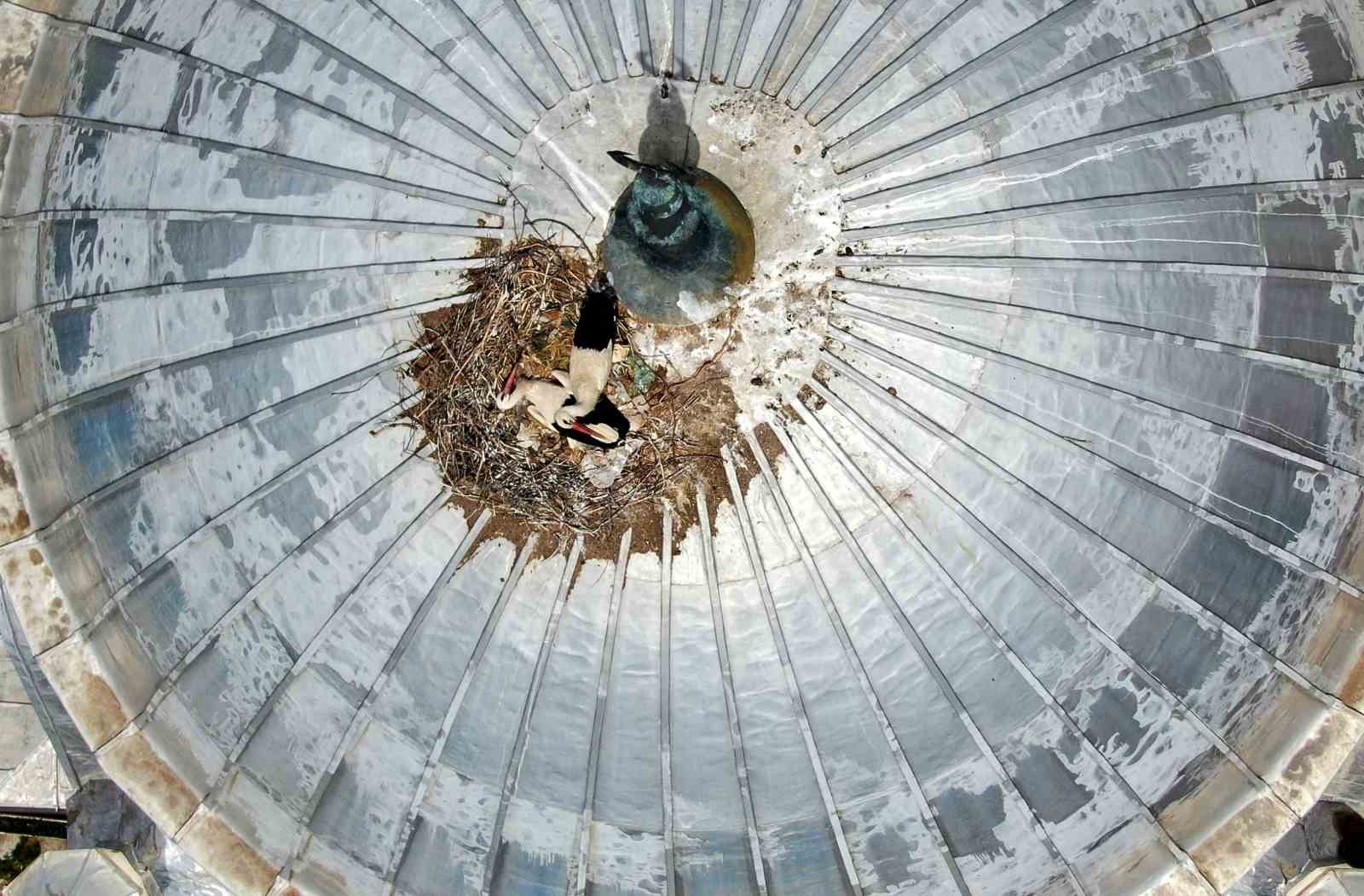 SİVAS’IN GEMEREK İLÇESİNDE CAMİNİN ÜZERİNE YUVAN YAPAN BAHARIN HABERCİSİ LEYLEKLER