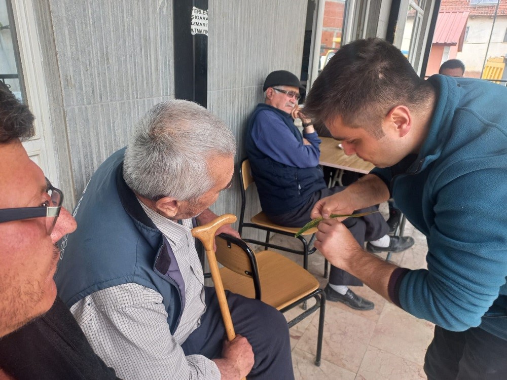 BİLECİK İL TARIM VE ORMAN MÜDÜRLÜĞÜ TARAFINDAN EKİM ALANLARINDA HASTALIK