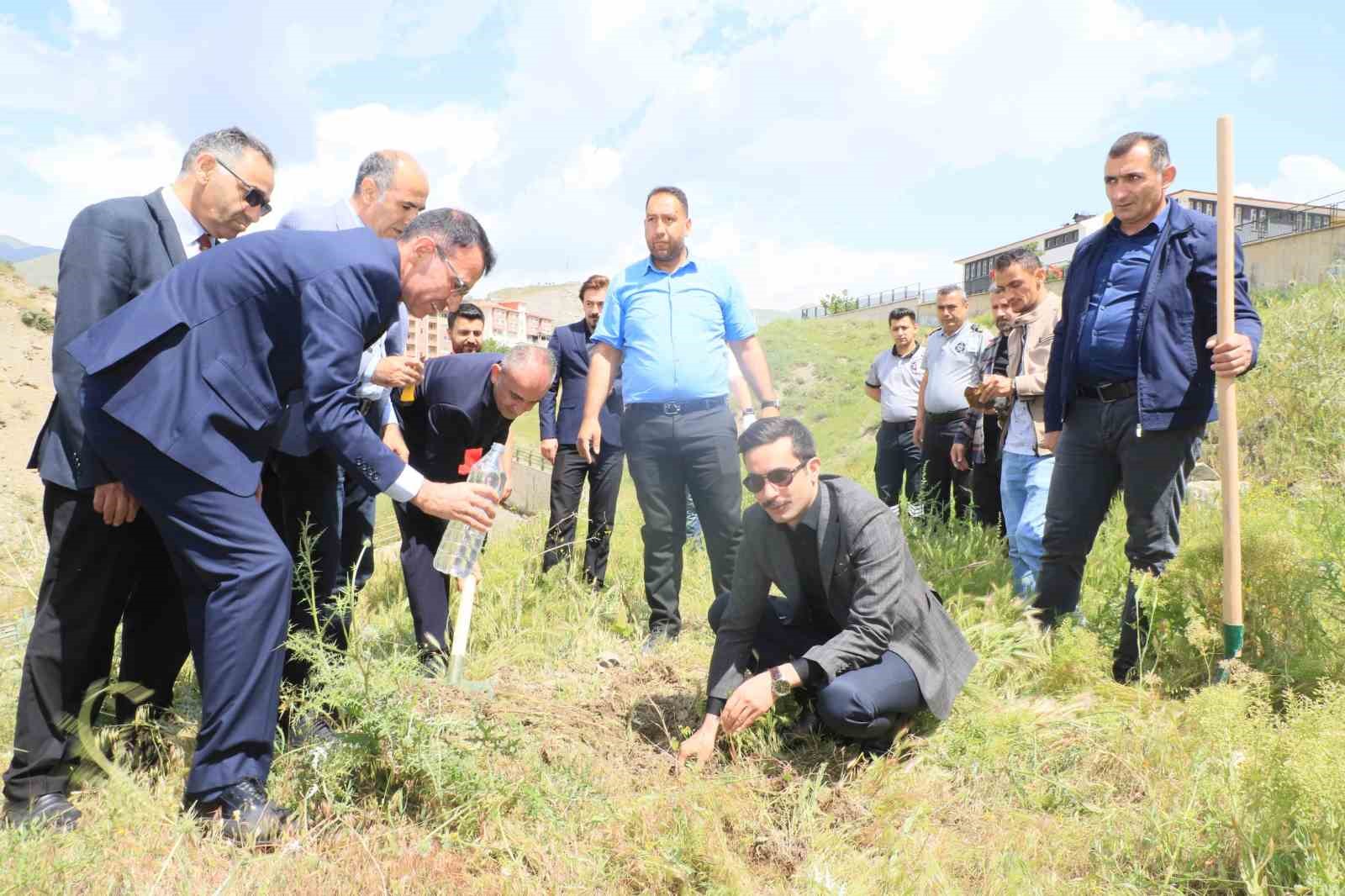 HAKKARİ İL SAĞLIK MÜDÜRLÜĞÜ, 31 MAYIS DÜNYA TÜTÜNSÜZ GÜNÜ’DE FİDAN