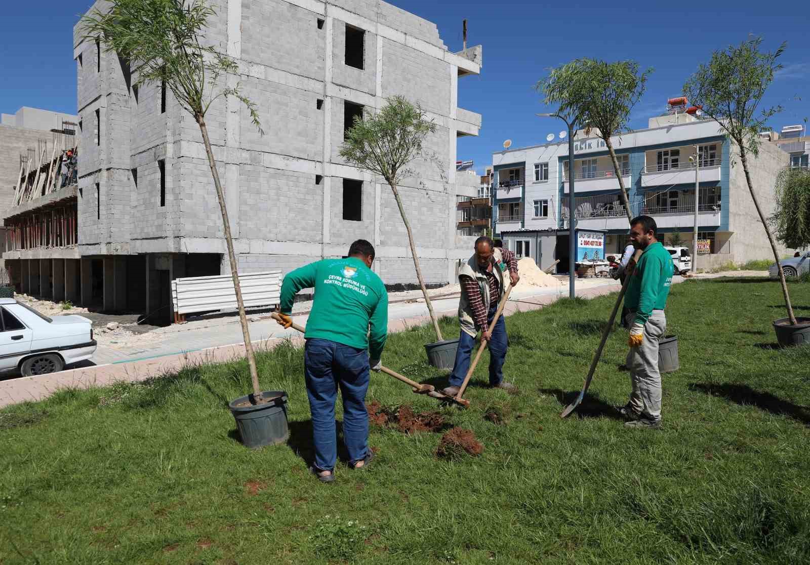 HALİLİYE BELEDİYESİNDEN AĞAÇLANDIRMA ÇALIŞMASI
