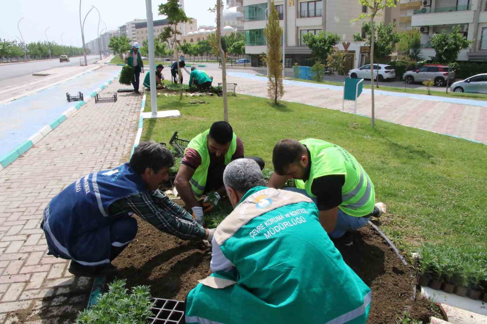 HALİLİYE’DE ÇİÇEKLER TOPRAKLA BULUŞUYOR
