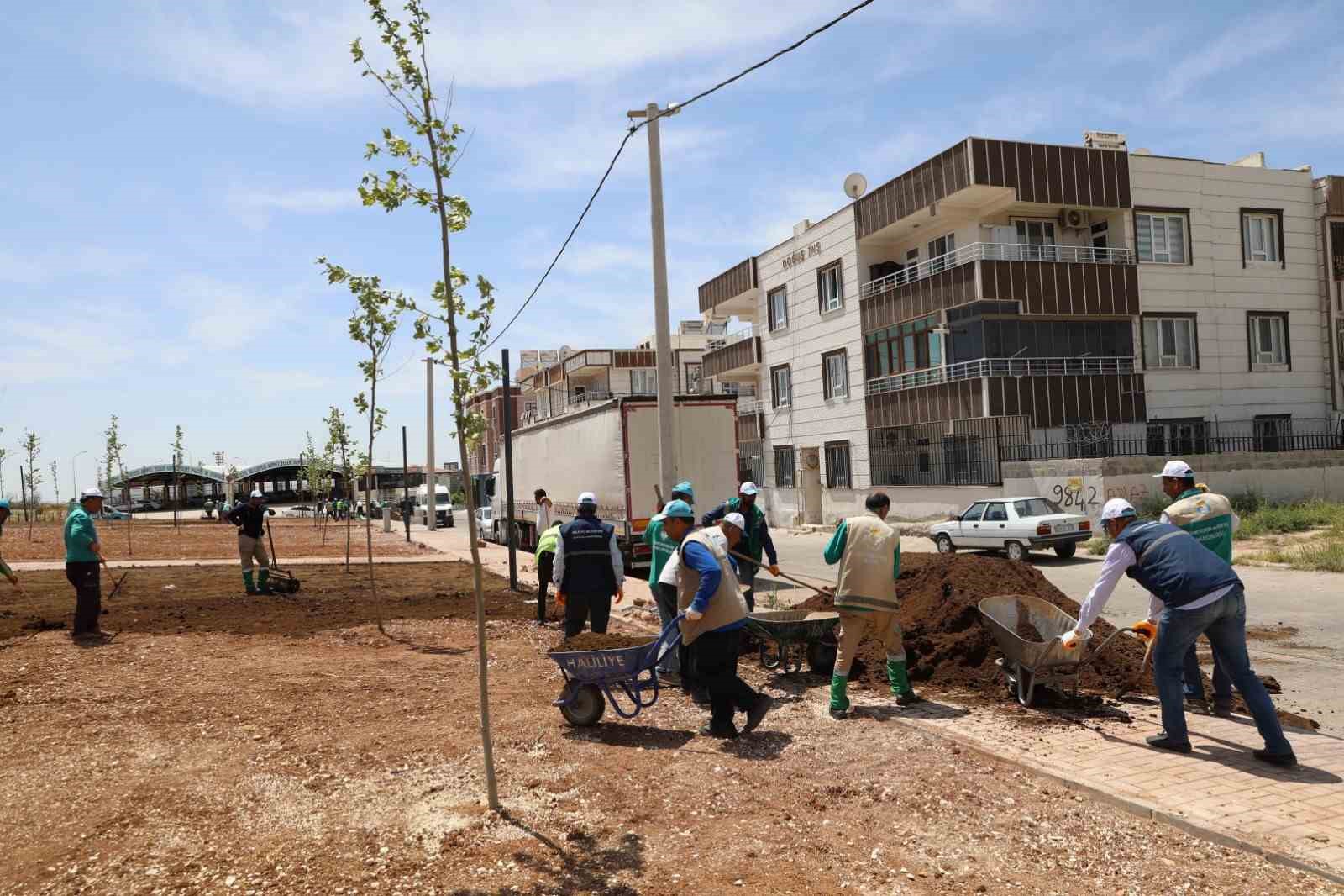 HALİLİYE’DE HUMMALI ÇALIŞMALARLA PARKLAR GÜZELLEŞİYOR