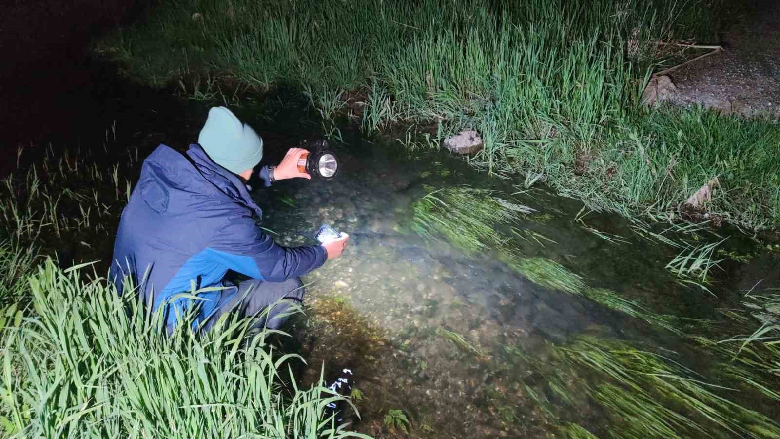 VAN GÖLÜ'NÜN SODALI SUYUNDA YAŞAYAN VE ÜREME DÖNEMİNDE AVLANILMASI YASAKLANAN