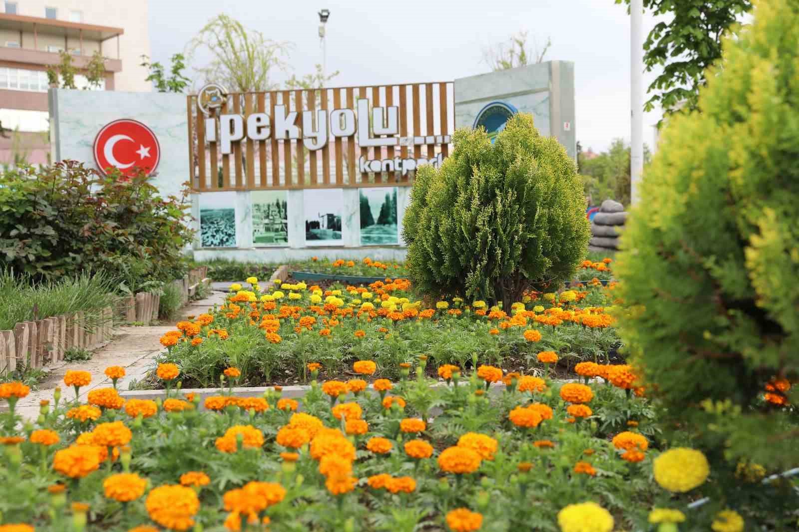 VAN’DA İPEKYOLU BELEDİYESİ PARK VE BAHÇELER MÜDÜRLÜĞÜ, HER YIL OLDUĞU