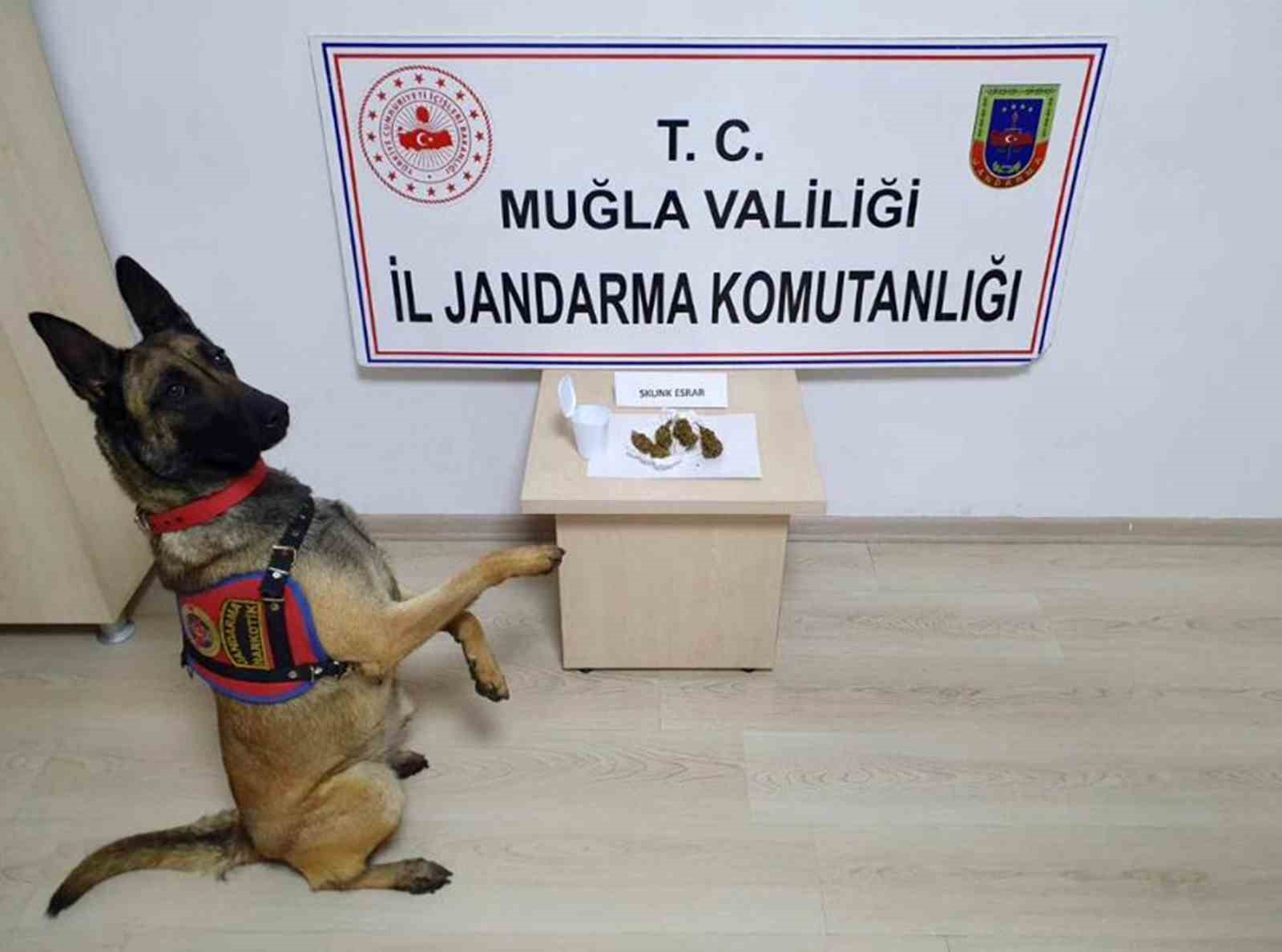 MUĞLA İL JANDARMA KOMUTANLIĞI EKİPLERİ TARAFINDAN MUĞLA GENELİNDE UYUŞTURUCU VE