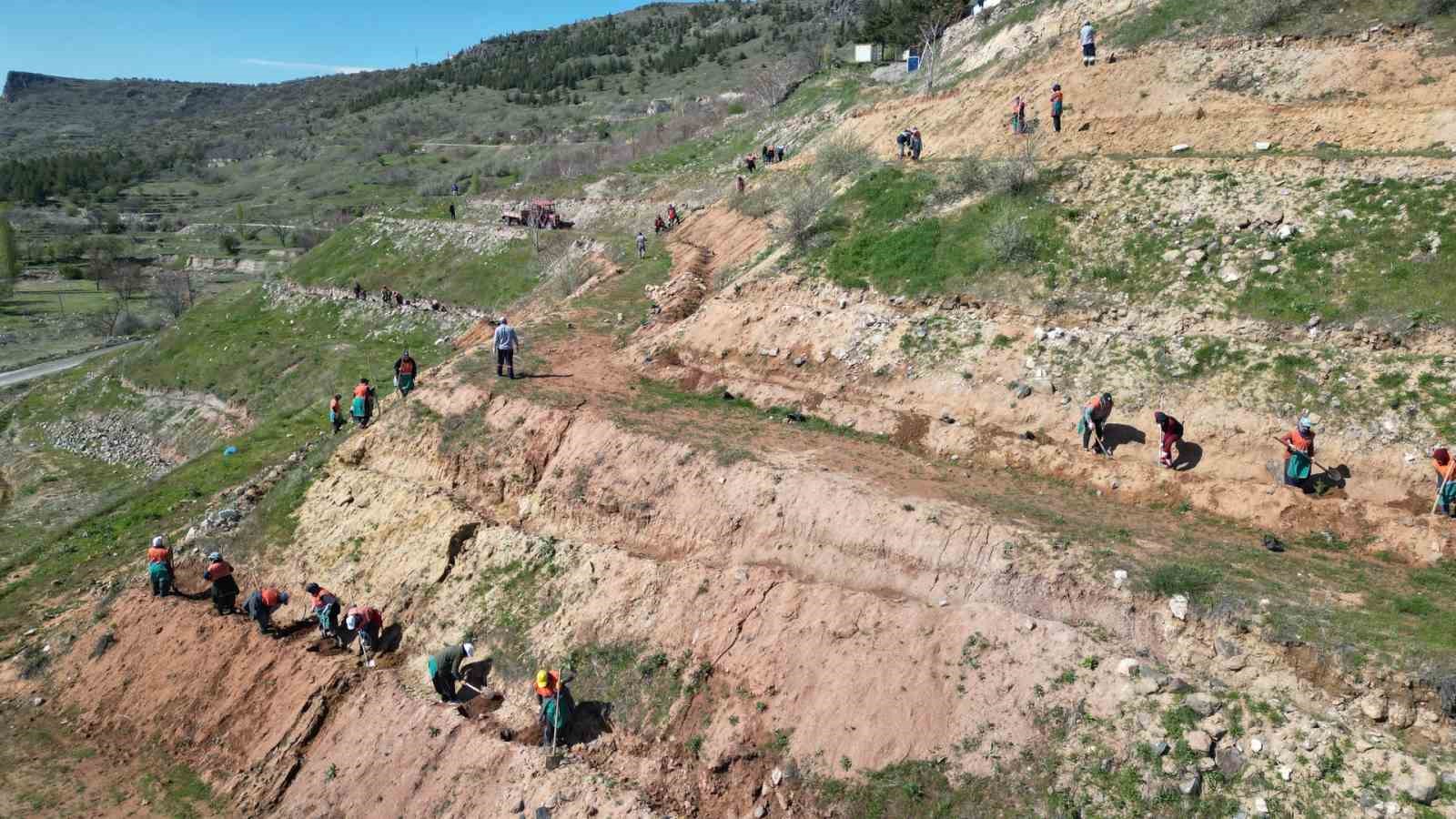DAHA YEŞİL BİR NEVŞEHİR İÇİN ÇALIŞMALARINI SÜRDÜREN NEVŞEHİR BELEDİYESİ, KAHVECİ