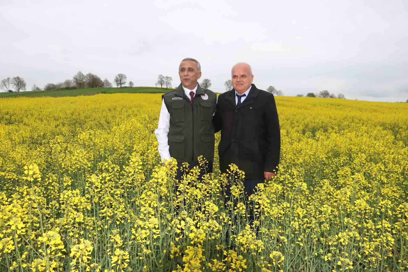 SOLDAKİ  SAMSUN İL TARIM VE ORMAN MÜDÜRÜ İBRAHİM SAĞLAM,