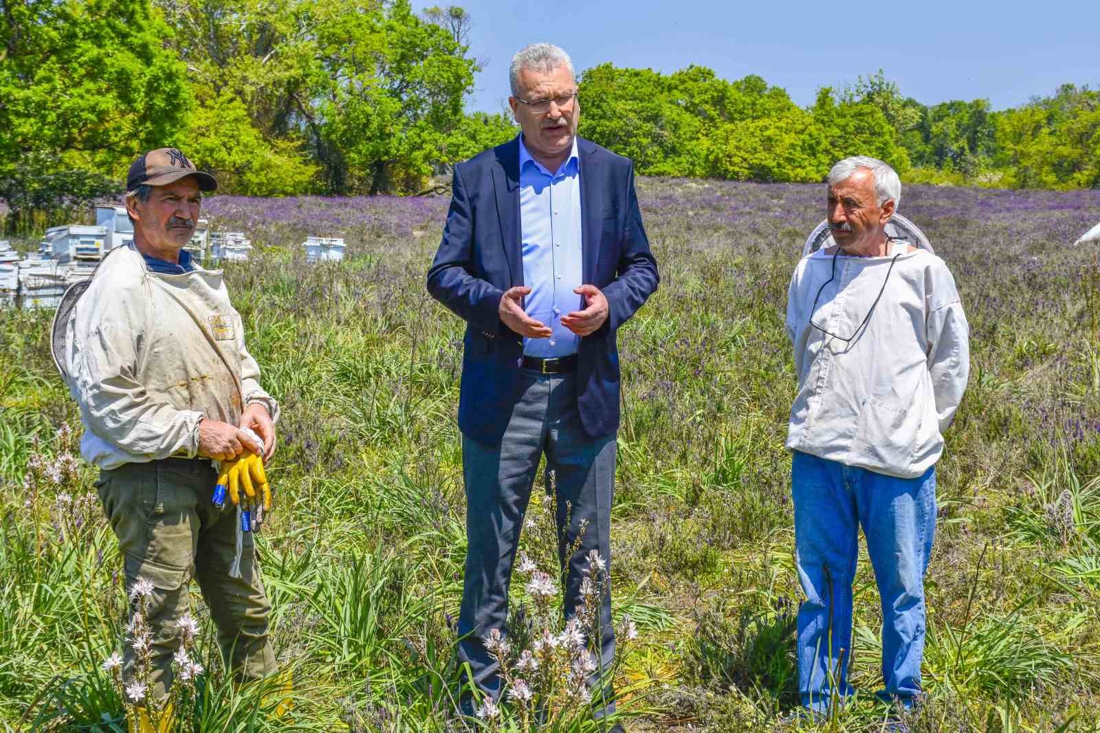 KARACABEY LONGOZ ORMANLARI, HEM DOĞASIYLA HEM YEREL ÜRETİME KATKILARIYLA ÖNE