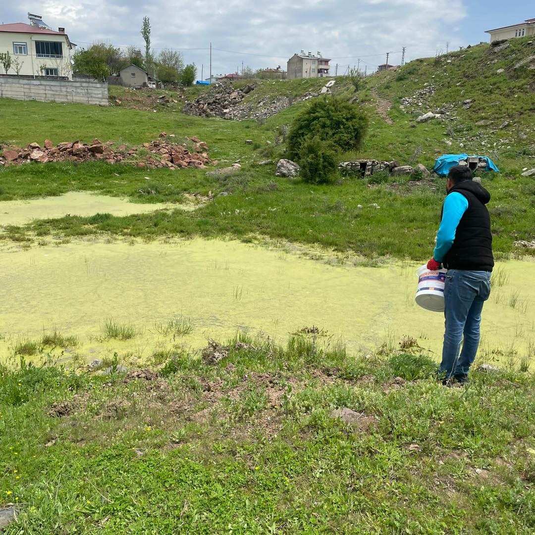 KARAKOÇAN İLÇESİNDE UÇKUNLA MÜCADELE ÇALIŞMALARI DOĞRULTUSUNDA KARASİNEK VE SİVRİSİNEKLERİN ÜREME